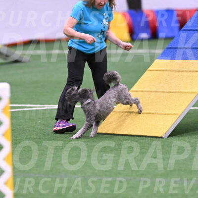 Reign-Laurie-Mueller-08361