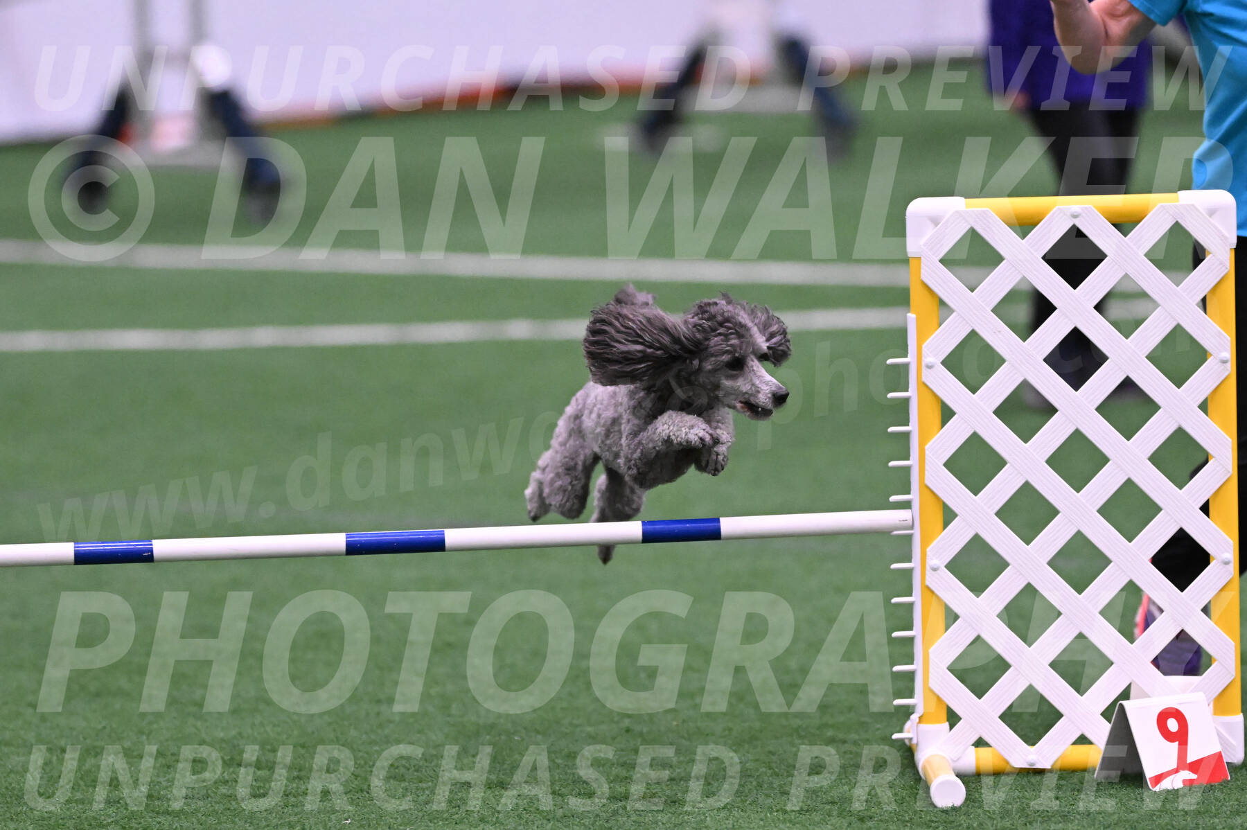 Reign-Laurie-Mueller-08369