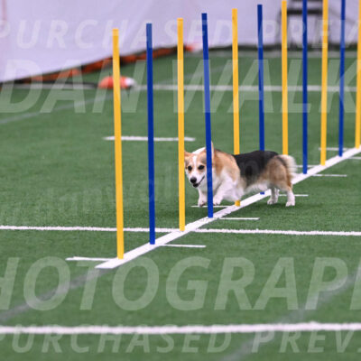 Ozzie-Judy-Roback-02201