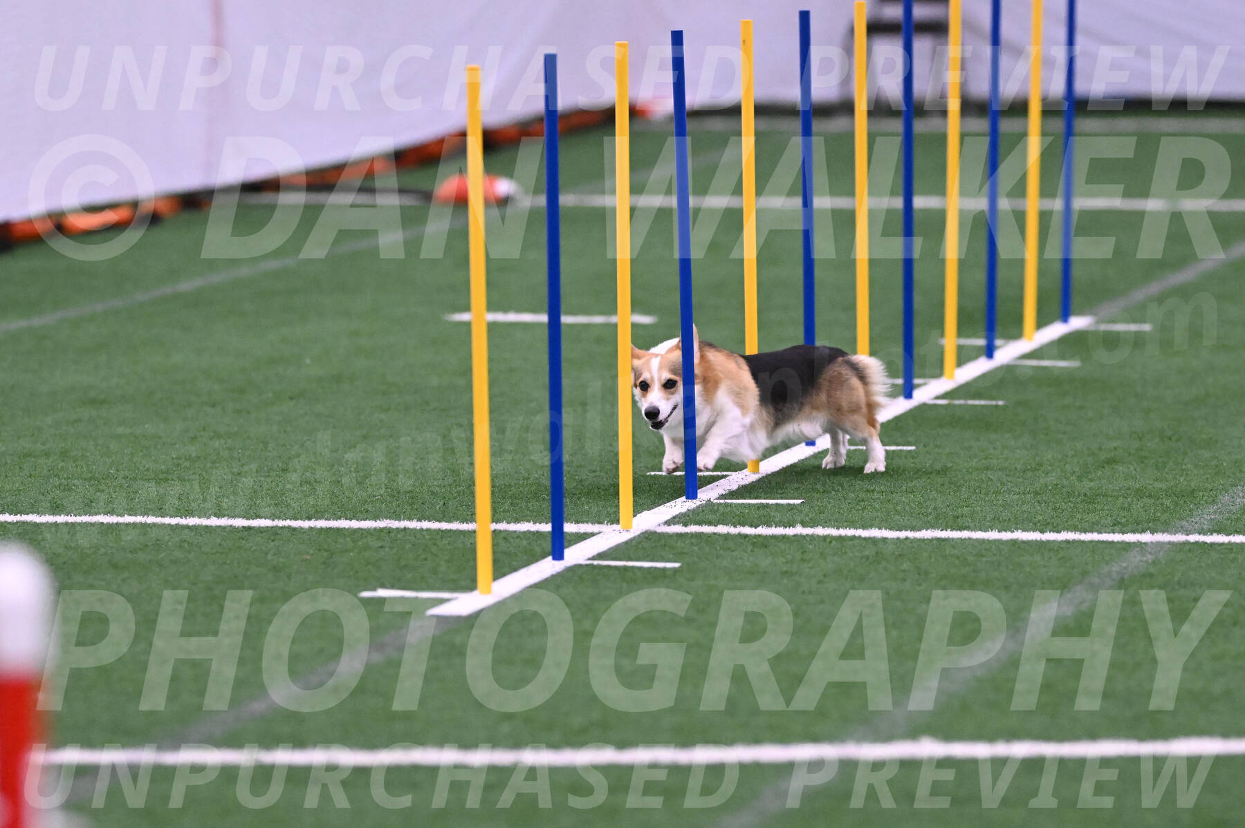 Ozzie-Judy-Roback-02201