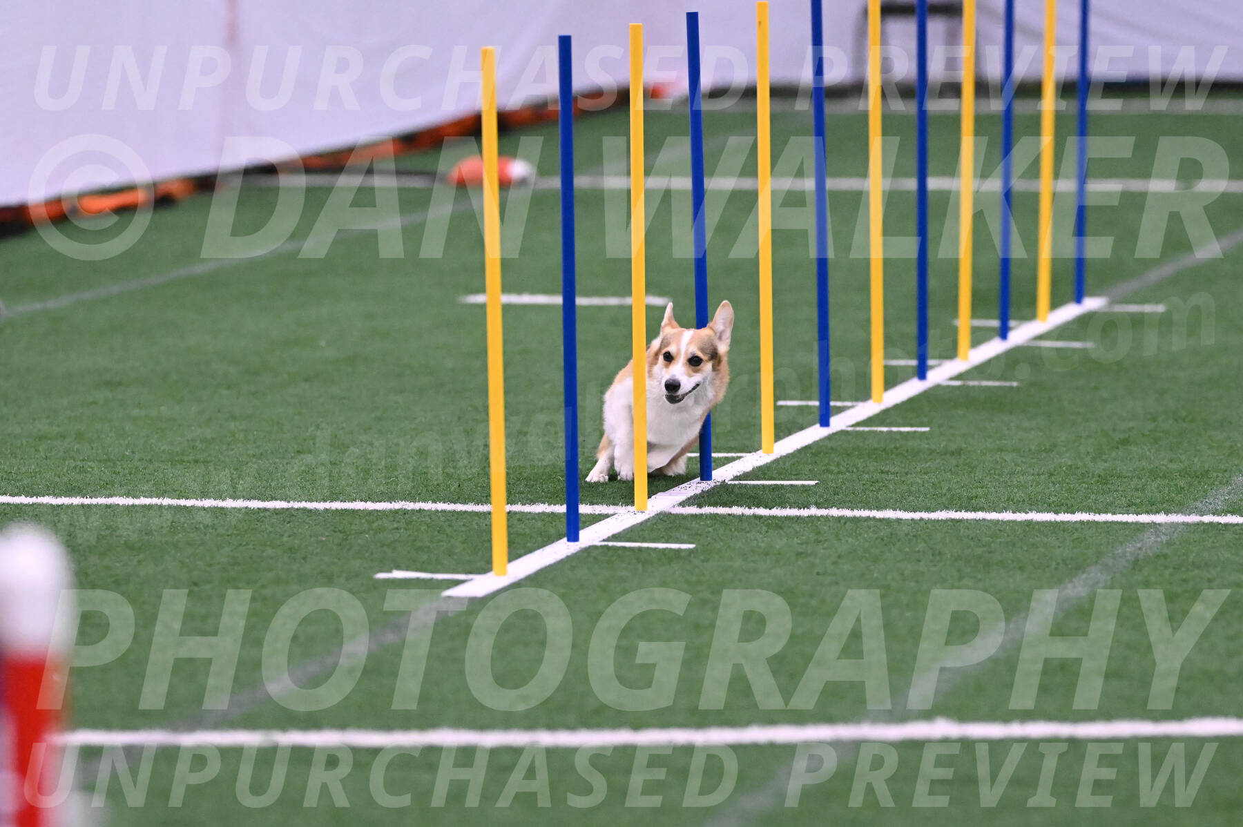 Ozzie-Judy-Roback-02203
