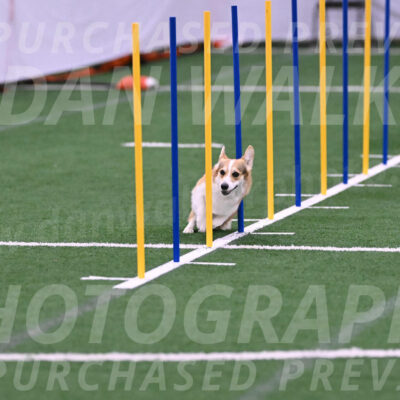 Ozzie-Judy-Roback-02203
