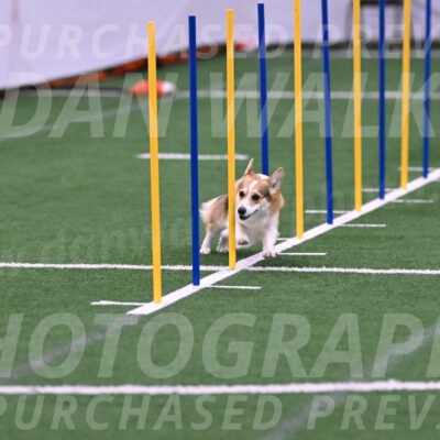 Ozzie-Judy-Roback-02204