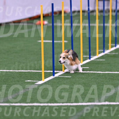 Ozzie-Judy-Roback-02205