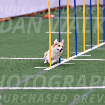 Ozzie-Judy-Roback-02211