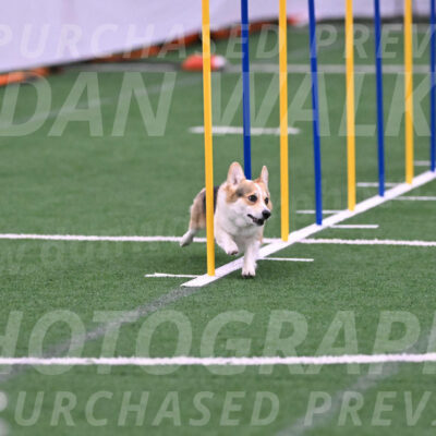 Ozzie-Judy-Roback-02212