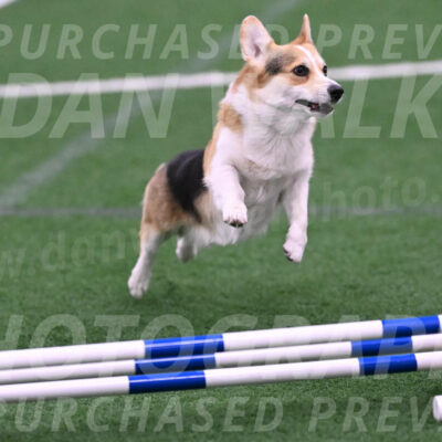 Ozzie-Judy-Roback-02213