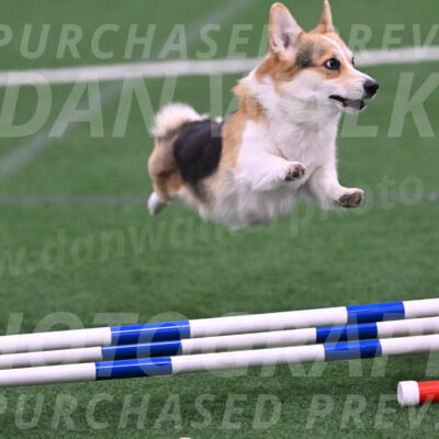 Ozzie-Judy-Roback-02214