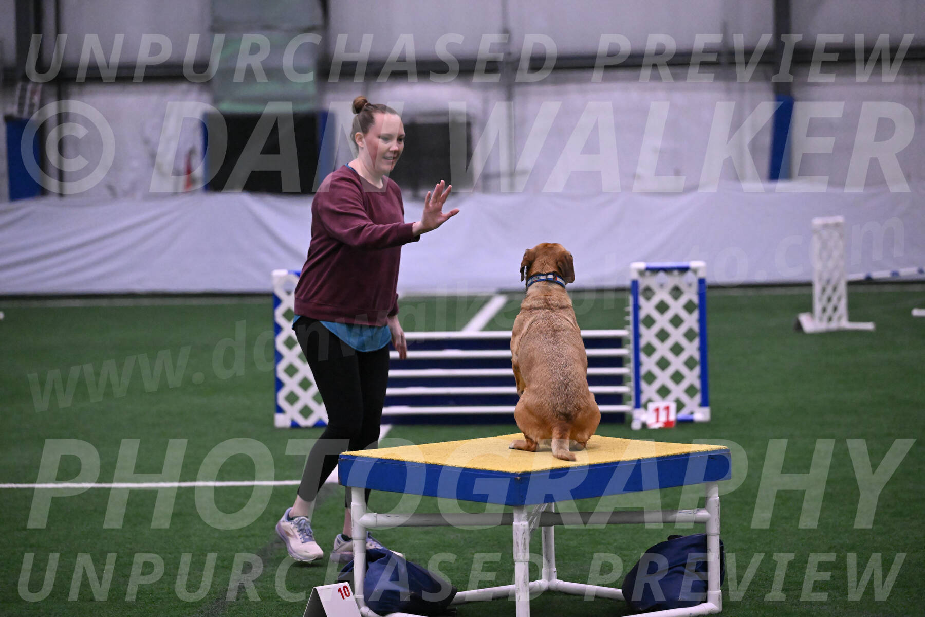 Rhona-Laura-Farrell-23991