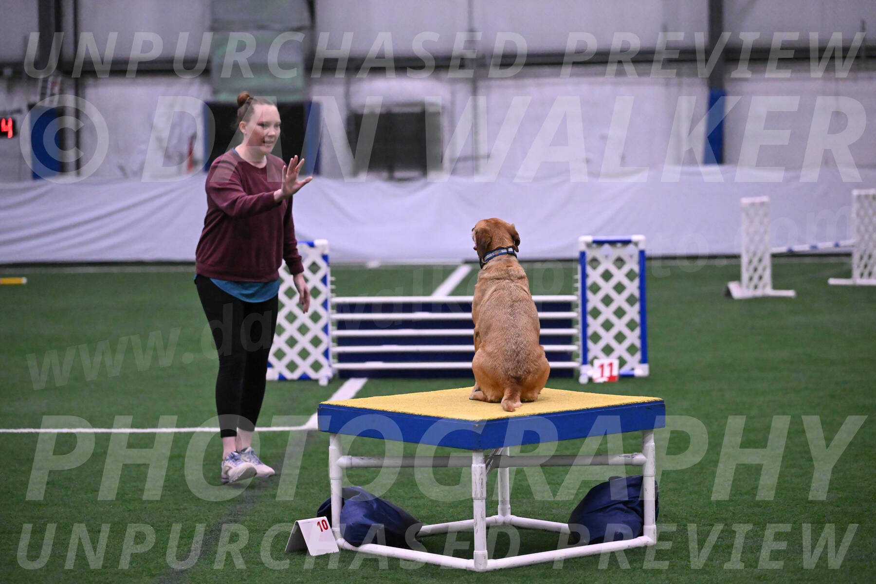 Rhona-Laura-Farrell-23999