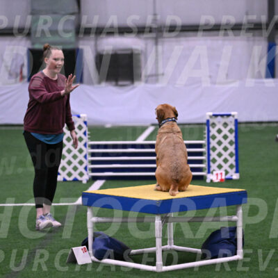 Rhona-Laura-Farrell-23999