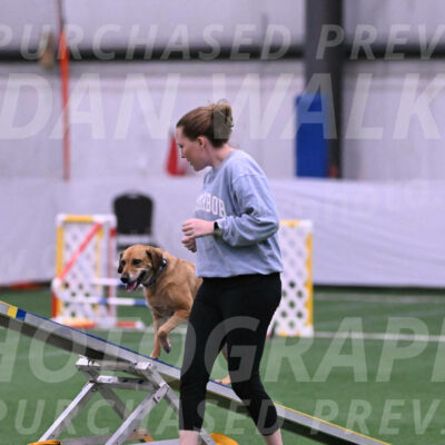 Rhona-Laura-Farrell-24045