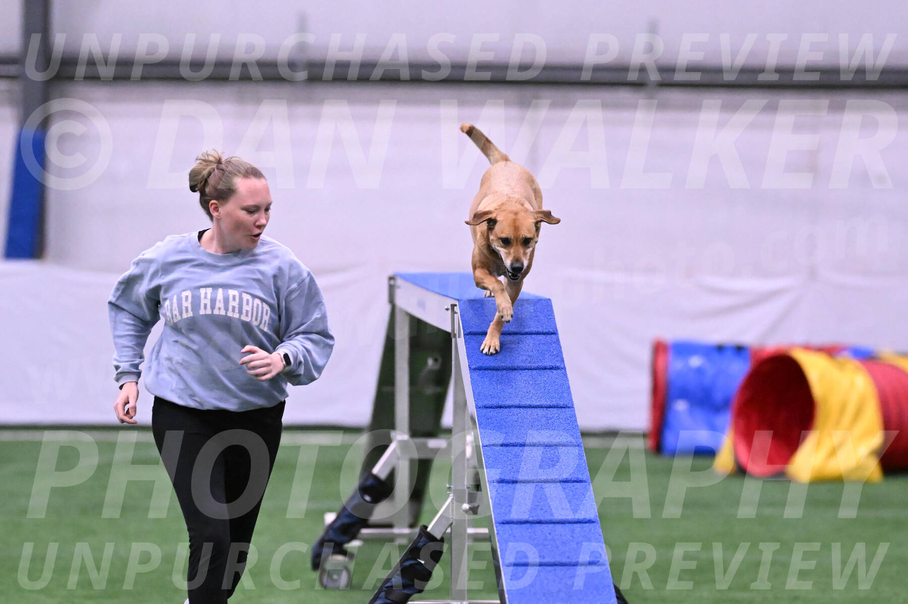 Rhona-Laura-Farrell-24061