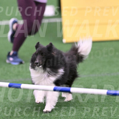 Rigel-Ulli-Weinrich-07403