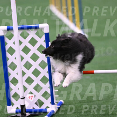 Rigel-Ulli-Weinrich-07471