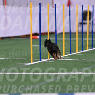 Rigsby-Gisele-Jarvie-03242