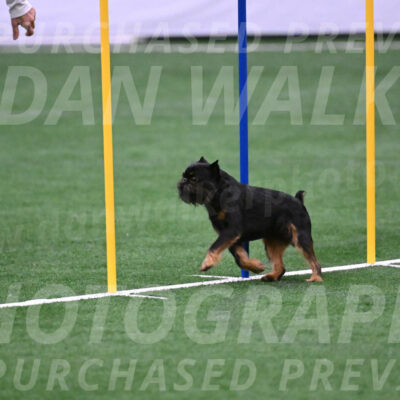 Rigsby-Gisele-Jarvie-03263