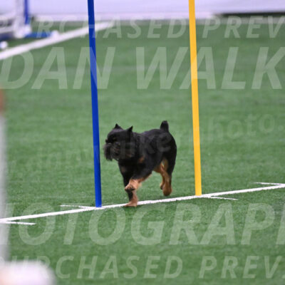 Rigsby-Gisele-Jarvie-03268