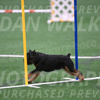 Rigsby-Gisele-Jarvie-03283