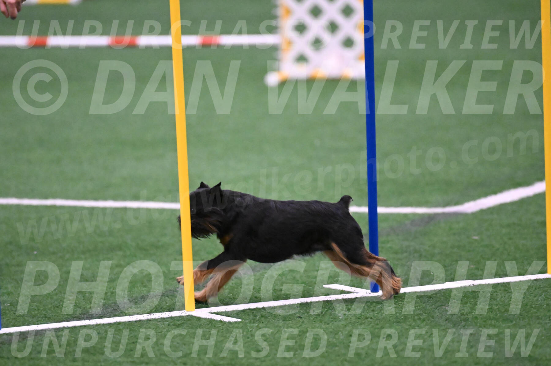 Rigsby-Gisele-Jarvie-03283