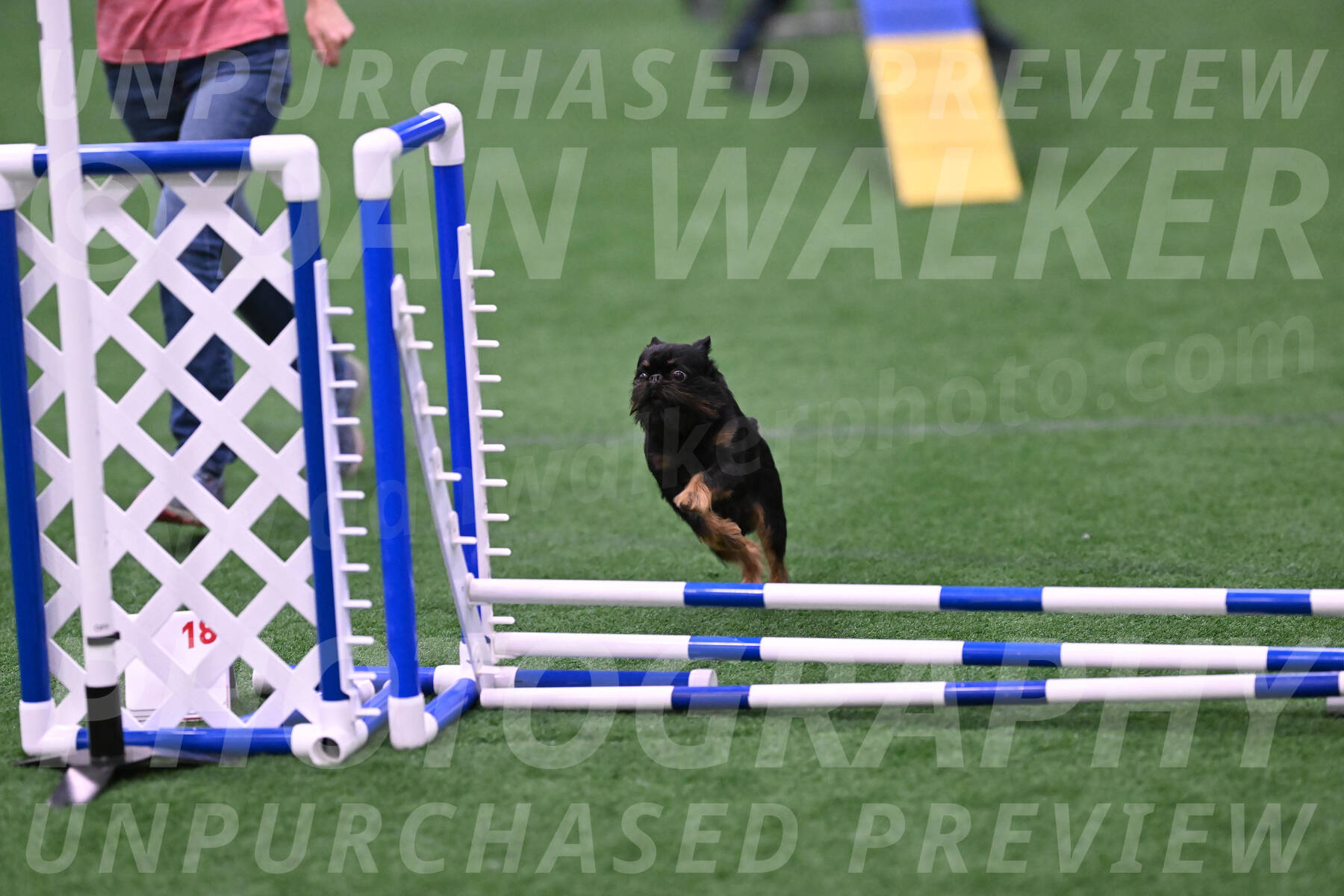 Rigsby-Gisele-Jarvie-03315