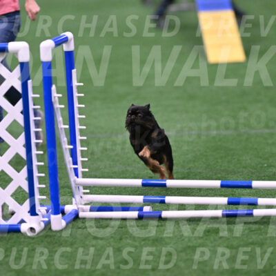 Rigsby-Gisele-Jarvie-03315