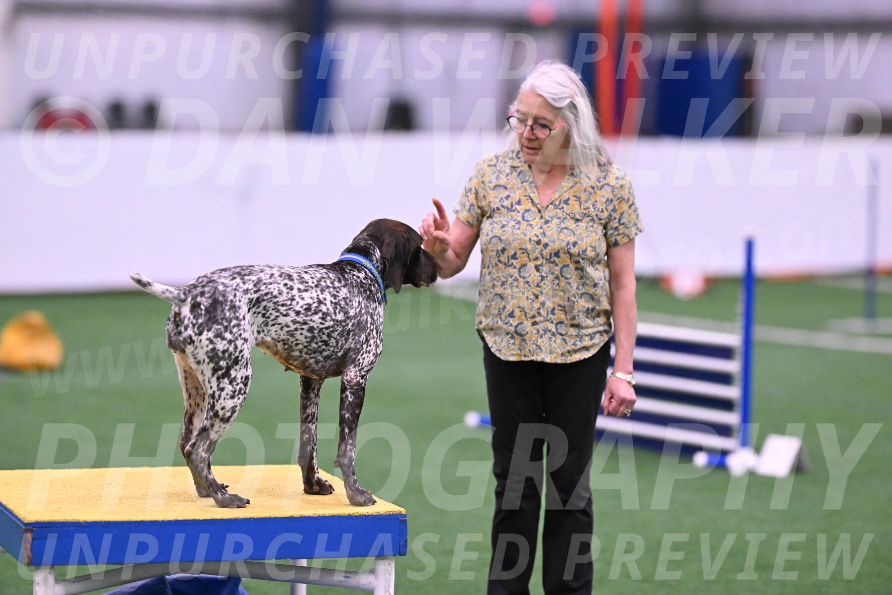 Riva-Denise-Ross-21146