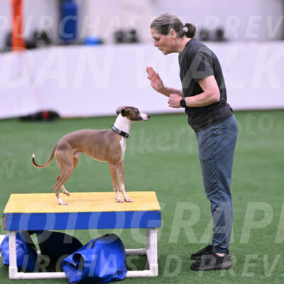 Rowdy-Terrianne-Basch-25463
