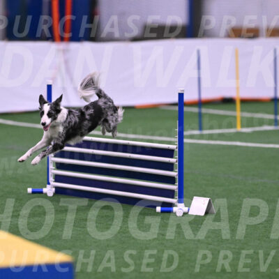 Roxie-Robert-Elliott-23945
