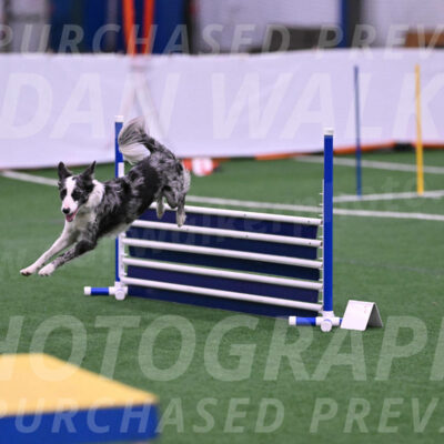 Roxie-Robert-Elliott-23946