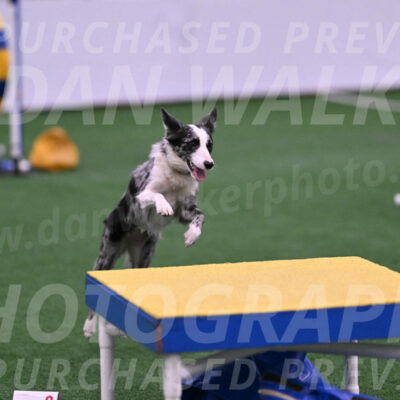 Roxie-Robert-Elliott-23948