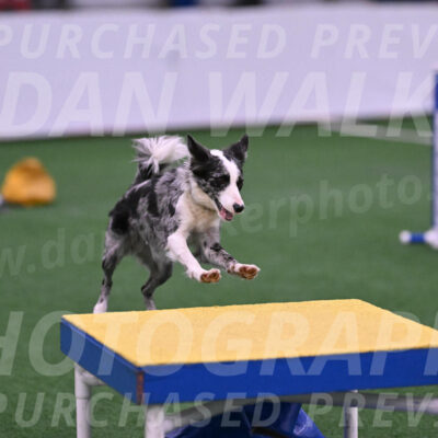Roxie-Robert-Elliott-23950