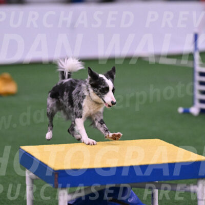 Roxie-Robert-Elliott-23951