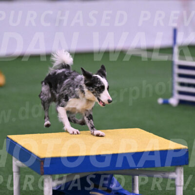 Roxie-Robert-Elliott-23952