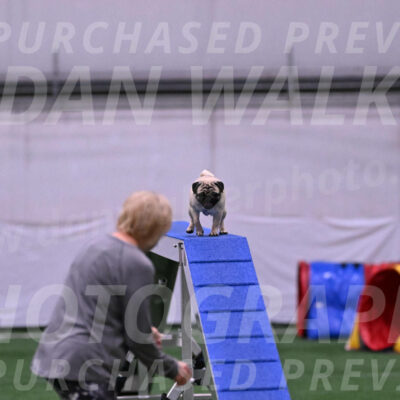 Roxy-Caryl-Baxter-23384