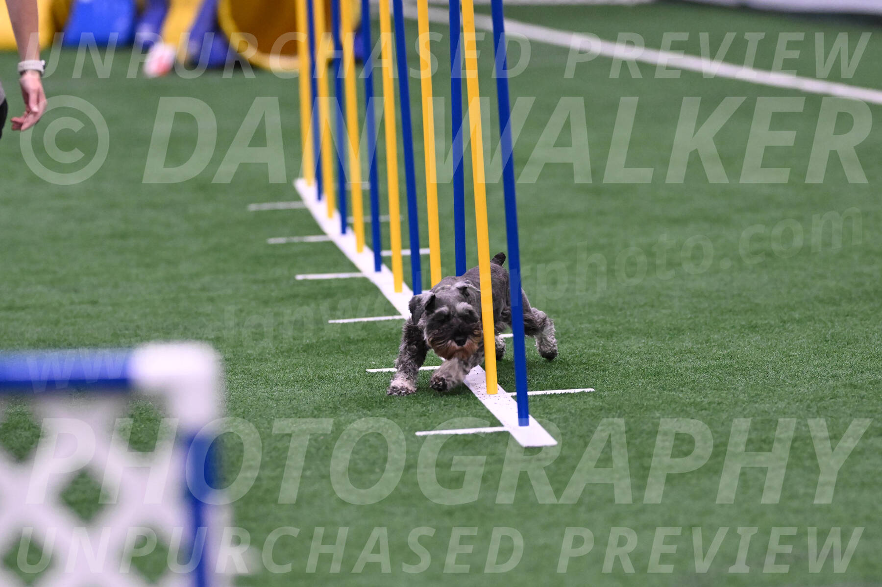 Rudy-Bethany-Mattern-19881