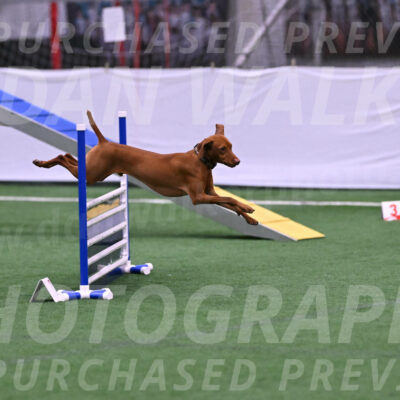 Rumble-Tim-Kim-Dillon-14099