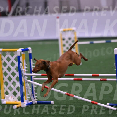 Rumble-Tim-Kim-Dillon-14109