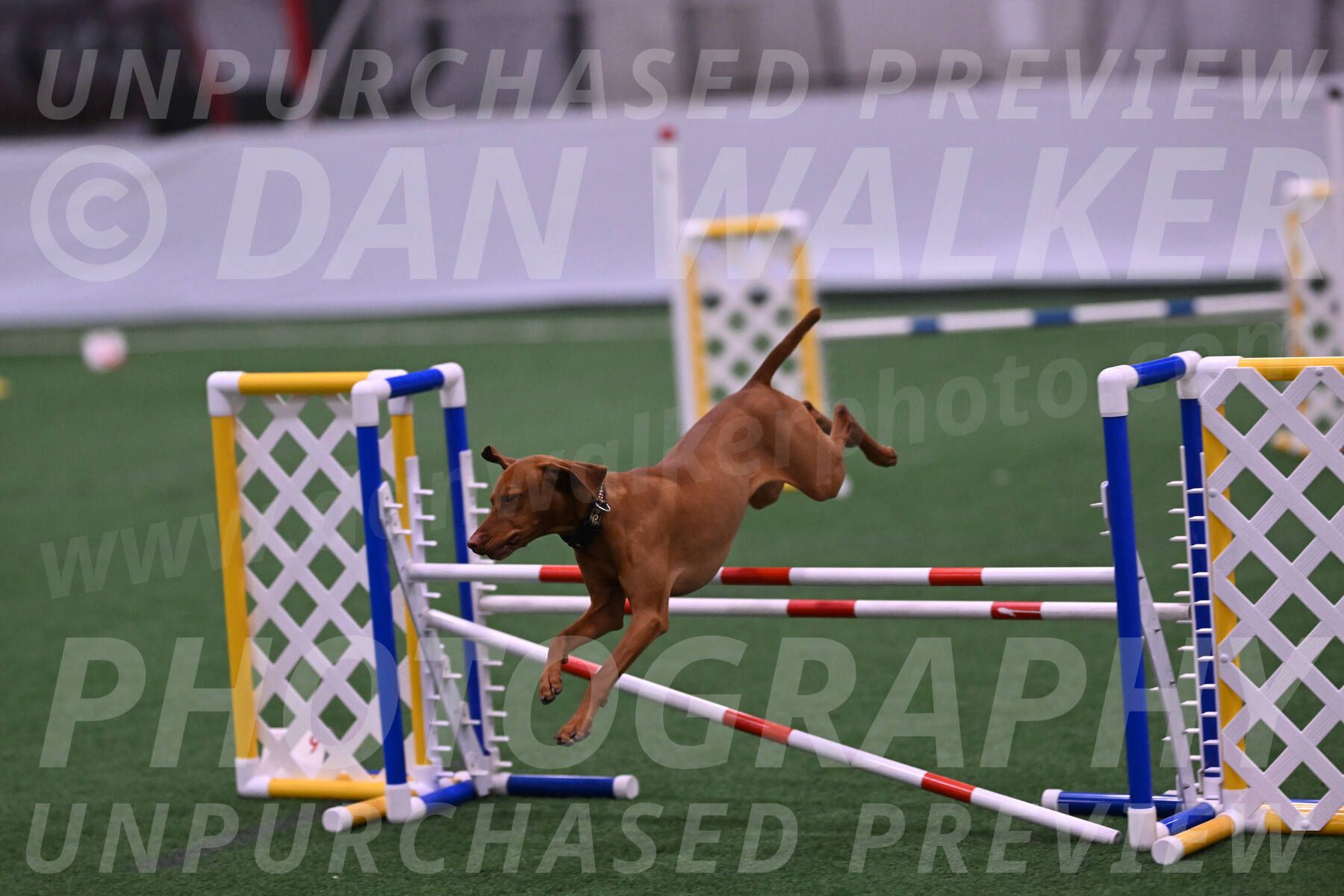 Rumble-Tim-Kim-Dillon-14109