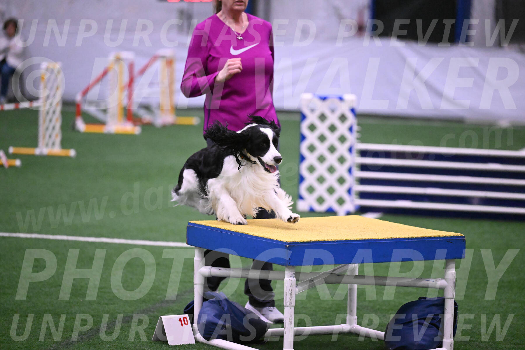 Ryder-Mary-Ann-Miller-24354