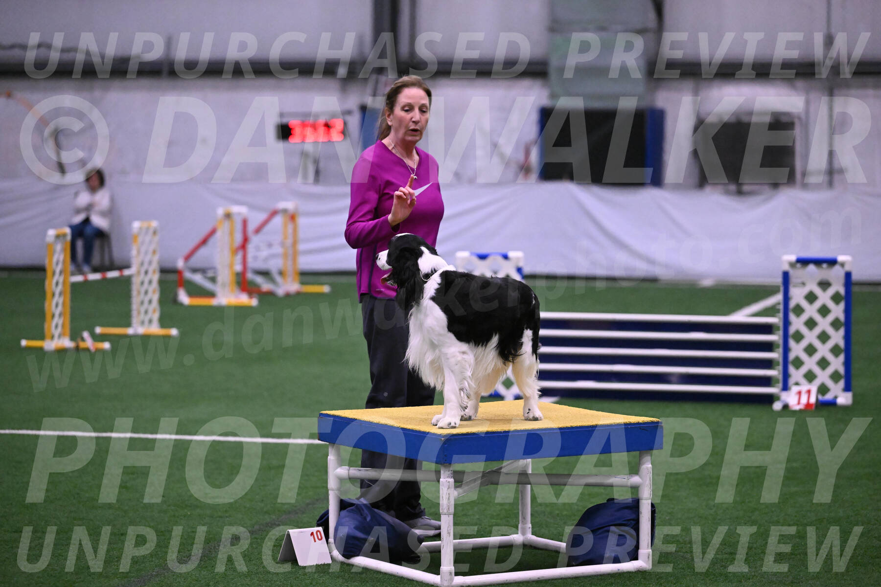 Ryder-Mary-Ann-Miller-24356
