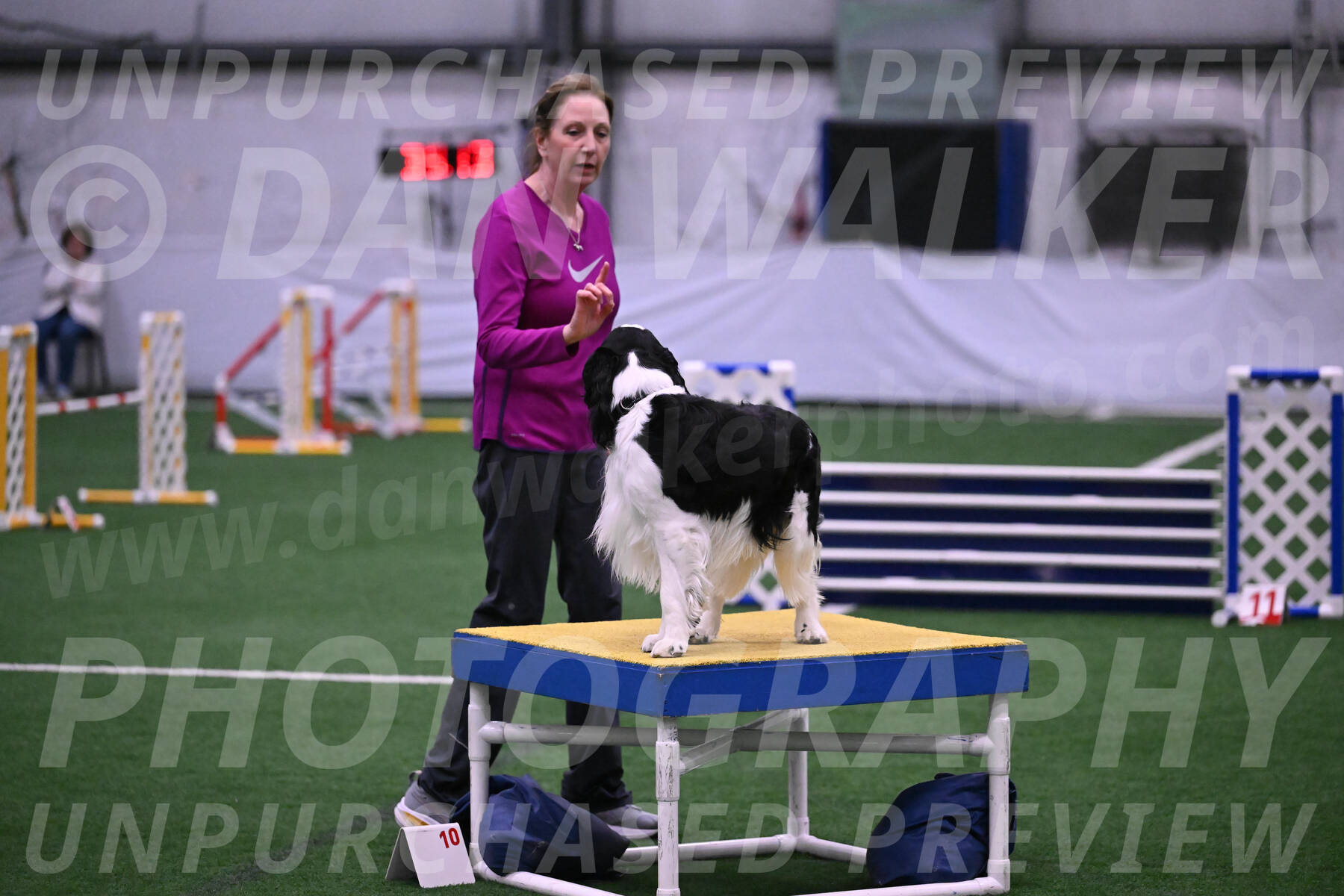 Ryder-Mary-Ann-Miller-24357