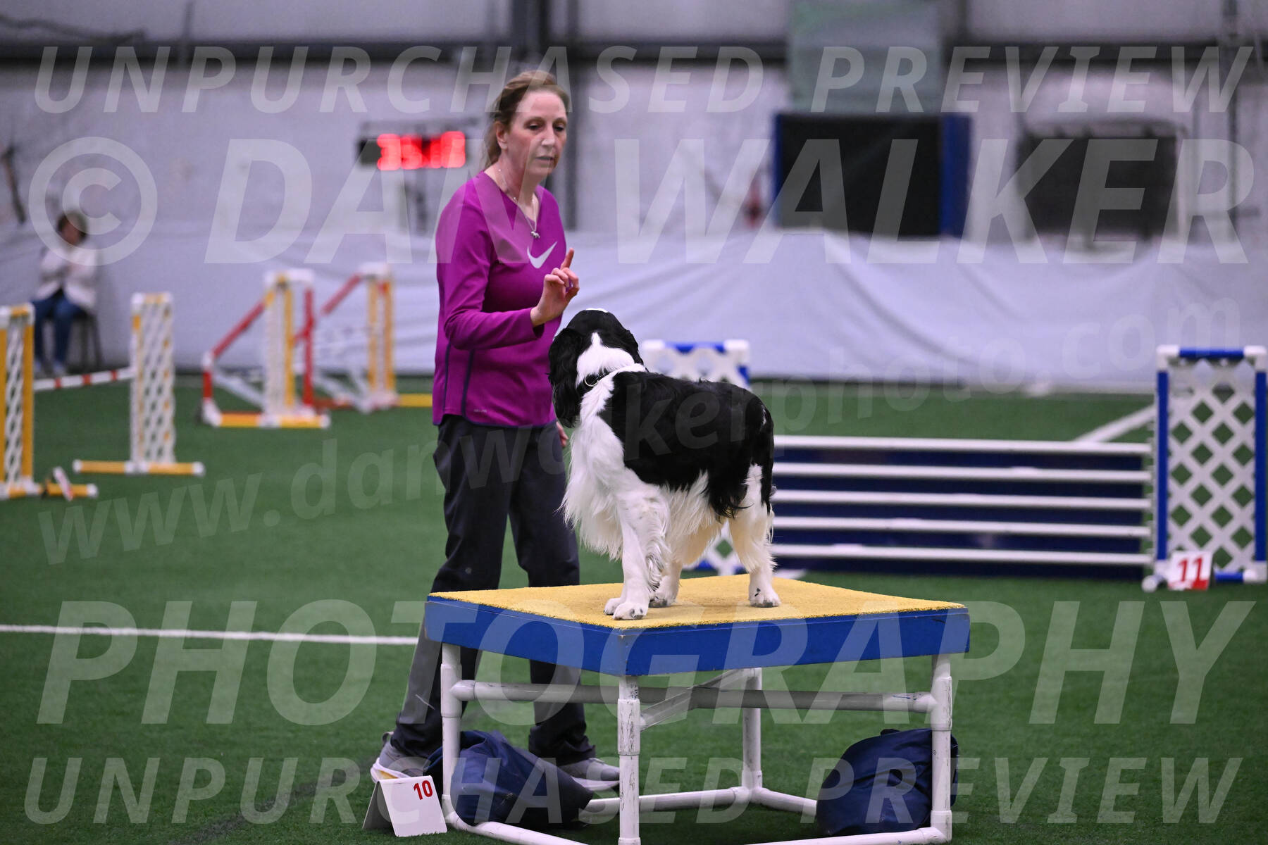 Ryder-Mary-Ann-Miller-24358