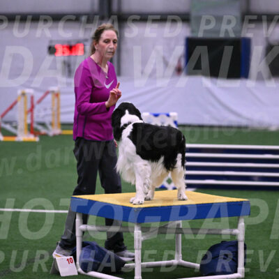 Ryder-Mary-Ann-Miller-24358
