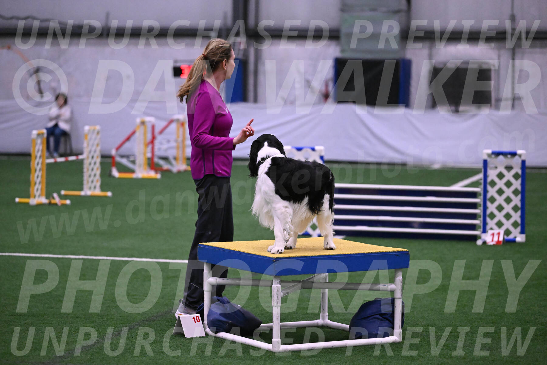 Ryder-Mary-Ann-Miller-24359