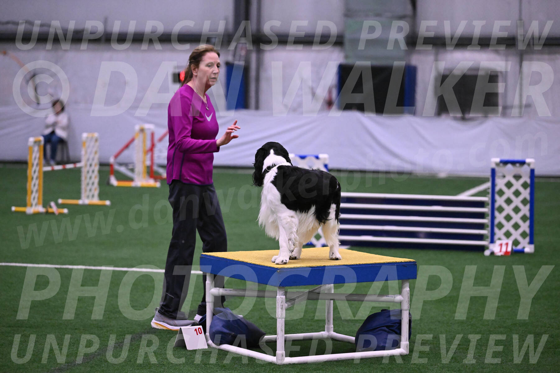 Ryder-Mary-Ann-Miller-24361