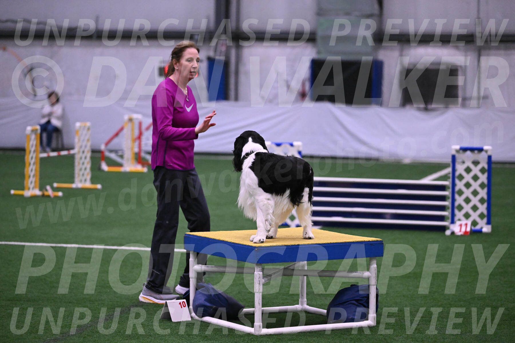 Ryder-Mary-Ann-Miller-24362