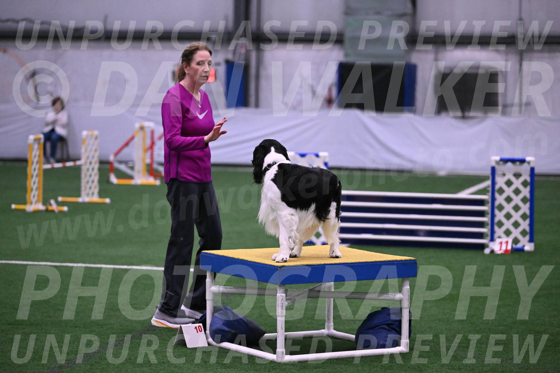 Ryder-Mary-Ann-Miller-24363