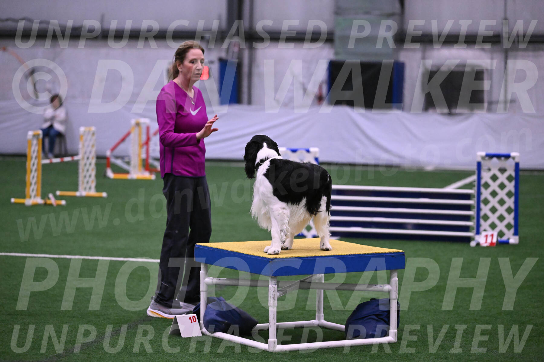 Ryder-Mary-Ann-Miller-24364