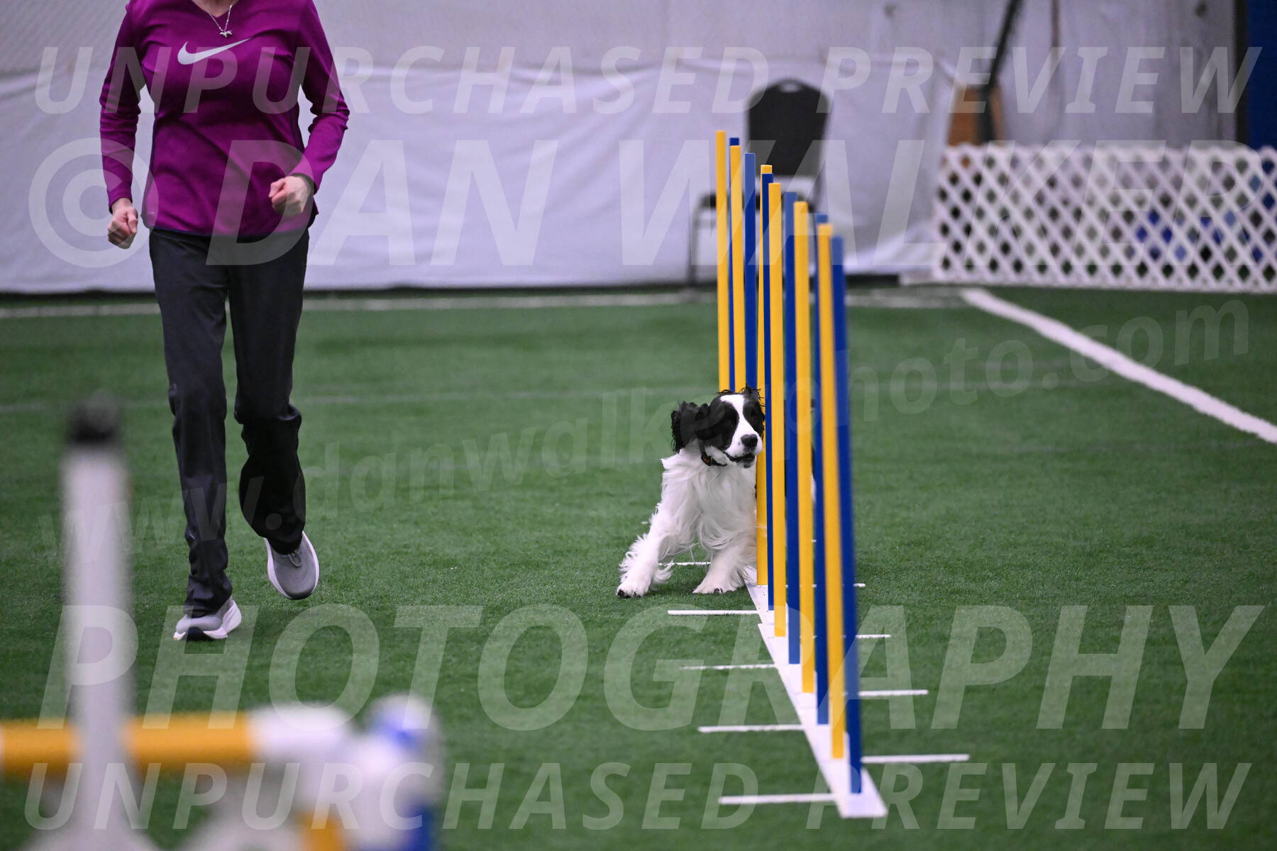 Ryder-Mary-Ann-Miller-24371